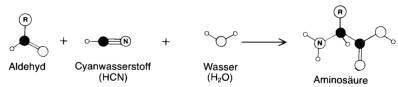 Entstehung einer Aminosäure